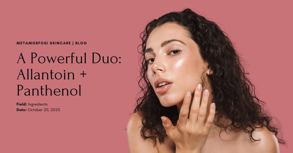 알란토인·판테놀 작용 기전 비교 인포그래픽