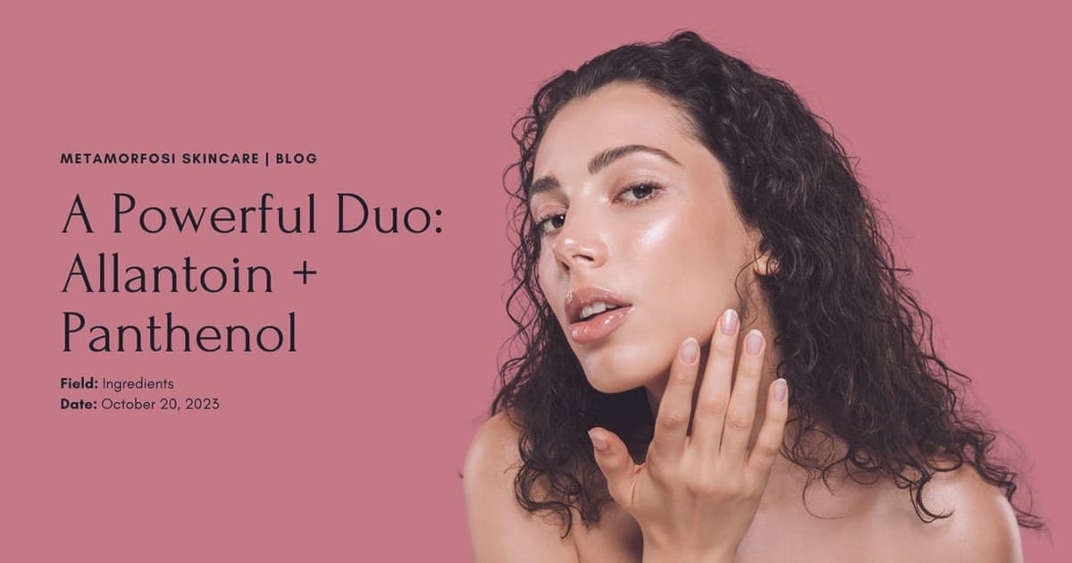 피부 타입별 성분 선택 가이드 플로우차트